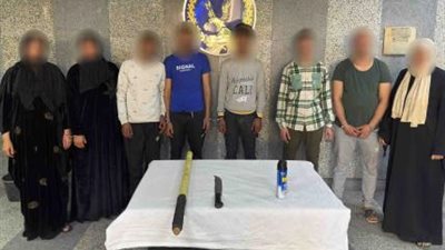 معاكسة سيدة كلمة السر، الداخلية تكشف تفاصيل فيديو مشاجرة بالأسلحة والكلاب في القليوبية 