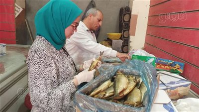 محافظ بني سويف يوجه رؤساء المراكز بتكثيف الحملات تزامنًا مع شم النسيم