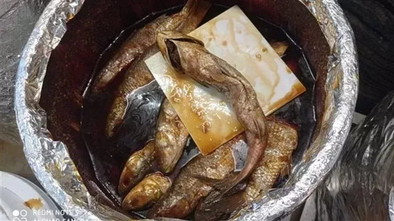 ضبط أسماك مملحة فاسدة