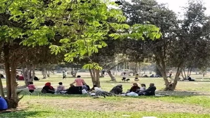 توافد المواطنين على