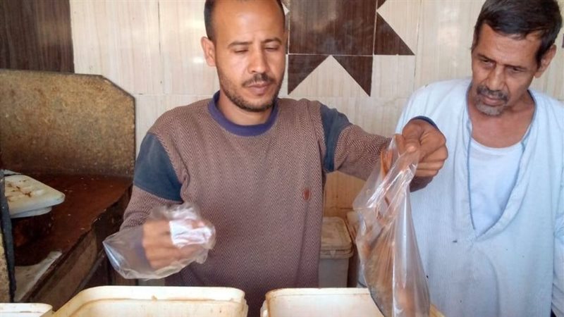 حملة بقنا، فيتو