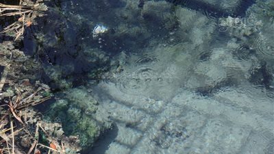  «الست خضراء».. أسطورة حلوان تعود للحياة من جديد.. مياه كبريتية ولاندسكيب ساحر وملاهٍ.. وأسرار يرويها أقدم موظف بالحديقة 