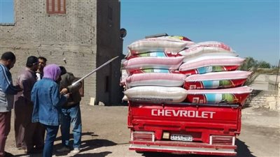 توريد 6304 أطنان قمح لشون وصوامع الشرقية منذ بدء موسم الحصاد