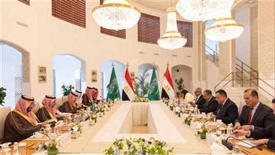 وزير الخارجية يترأس وفد مصر في أعمال لجنة المتابعة والتشاور السياسي مع السعودية