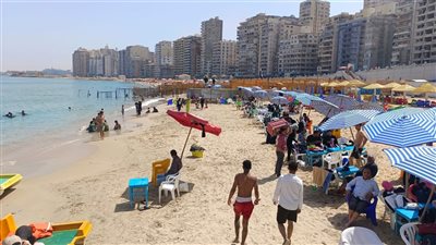 محافظ الإسكندرية: نتابع التنبؤات الجوية على مدار الساعة وقرار غلق الشواطئ احترازي (فيديو)