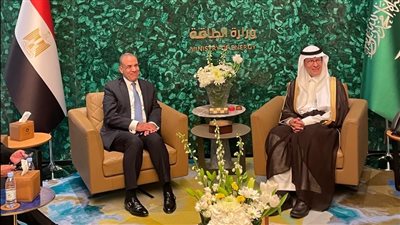وزير الخارجية: مصر تعرب عن استعدادها للدخول كشريك استراتيجي مع السعودية بمشروعات الطاقة الخضراء