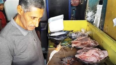 ضبط وإعدام أسماك مملحة لعدم صلاحيتها للاستهلاك الآدمى فى أسوان (صور)