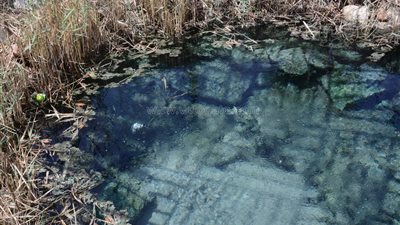 حديقة «الست خضرة» بحلوان تستقبل عشاق الطبيعة في شم النسيم (فيديو وصور)