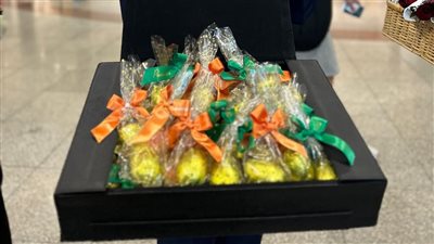 هدايا وفقرات موسيقية، المطارات المصرية تحتفل بأعياد الربيع