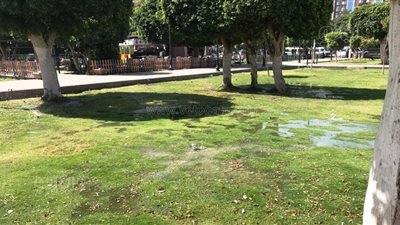 رفع درجة الاستعداد القصوى لتأمين احتفالات أعياد الربيع وشم النسيم فى أسوان (صور)