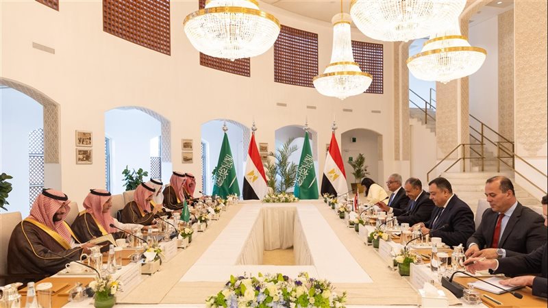 إجتماع اللجنة المصرية