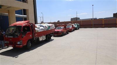  توريد 1200 طن من محصول القمح بالمنوفية