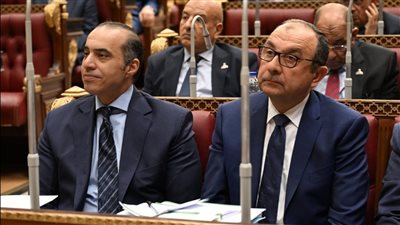 مطالب نواب الشيوخ من الحكومة لتطوير القطاع العام.. إعادة هيكلة الشركات.. عمل شراكات متوازنة مع القطاع الخاص.. الاهتمام بالتكنولوجيا والتحول للاقتصاد الأخضر.. وتحديث البنية التشريعية