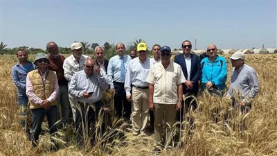 وفد من البحوث الزراعية يبحث سبل تعزيز محصول القمح في الإسماعيلية (صور) 