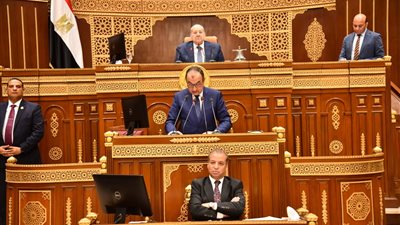 وزير قطاع الأعمال يستعرض استراتيجية تطوير الشركات التابعة أمام مجلس الشيوخ