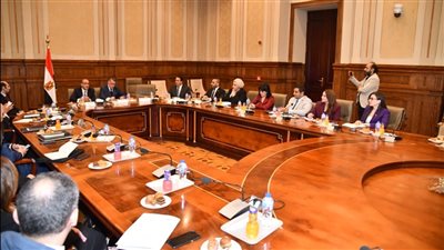 وزير الخارجية يكشف جهود مصر في ملف حقوق الإنسان أمام البرلمان