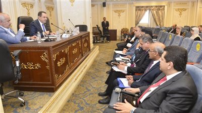 زراعة الشيوخ توصي بحظر تخصيص الأراضي دون موافقة الري