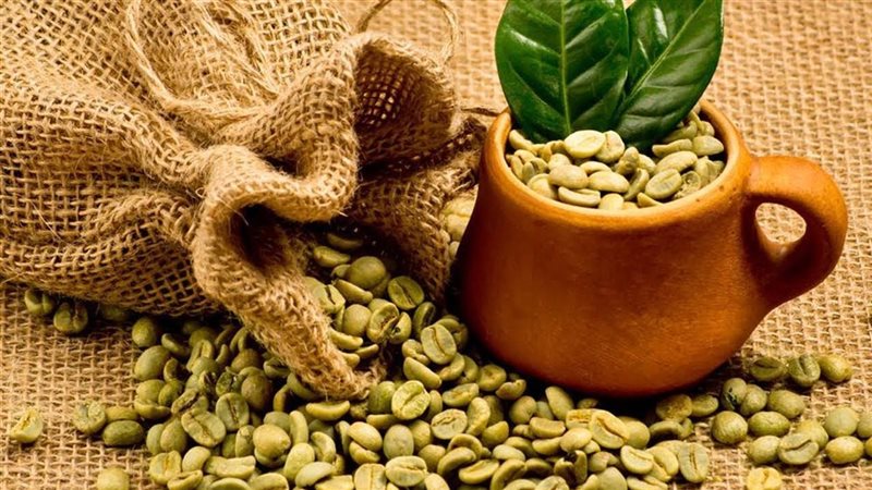 فوائد القهوة الخضراء