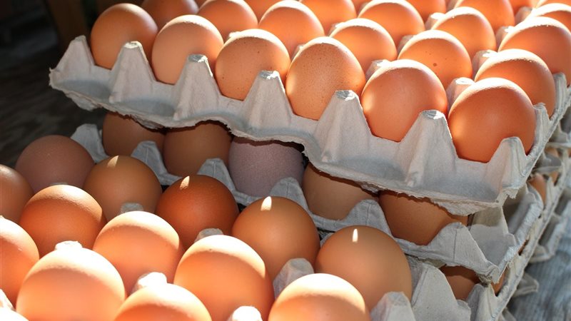 انخفاض أسعار البيض،