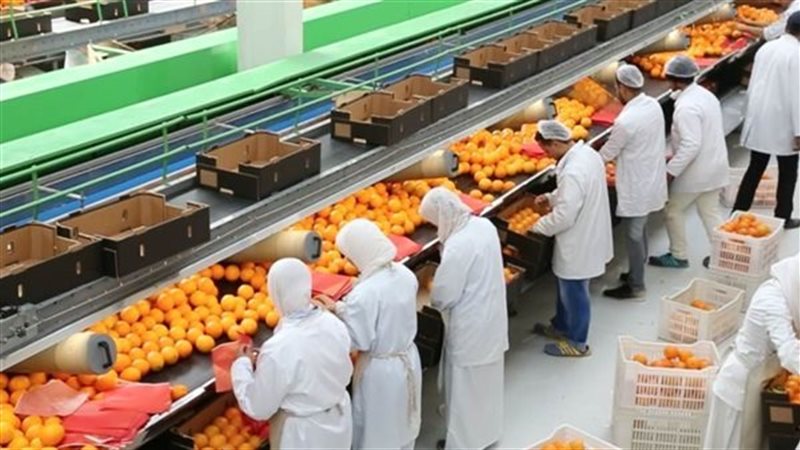 تدريب عن إدارة التتبع