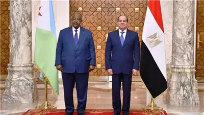 أهم 5 سلع صدرتها مصر إلى جيبوتي خلال عام 2024 