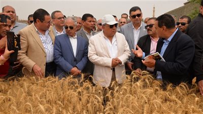 محافظ الدقهلية يطلق موسم حصاد القمح من السنبلاوين (فيديو وصور) 