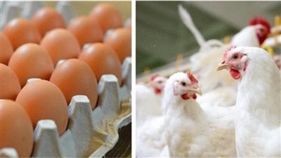 مجزرة بتحصل، 