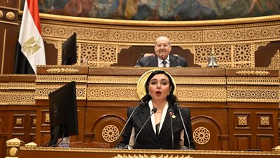 وفر مالي 65 مليون جنيه، الشيوخ يوافق على الحساب الختامي للمجلس 2023/2024 