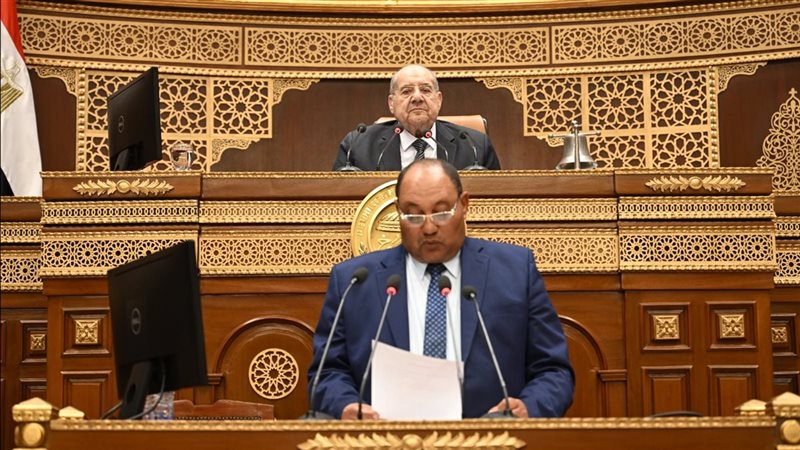 نائب وزير الزراعة