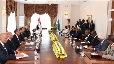  مصر وجيبوتي تعربان عن قلقهما من تدهور الأوضاع السياسية والأمنية في جنوب السودان 
