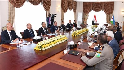 السيسي يستعرض مذكرات التفاهم واتفاقيات التعاون مع جيبوتي