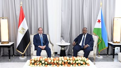  مصر وجيبوتي تؤكدان دعم مؤسسات الدولة الوطنية السورية واستقرارها ورفض كافة أشكال العنف