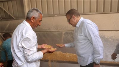 محافظ المنوفية: توريد 3 آلاف طن قمح منذ بدء موسم الحصاد