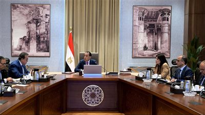 الحكومة تقرر تخصيص 500 مليون جنيه سنويًا لدعم غرف زراعة النخاع بوزارة الصحة