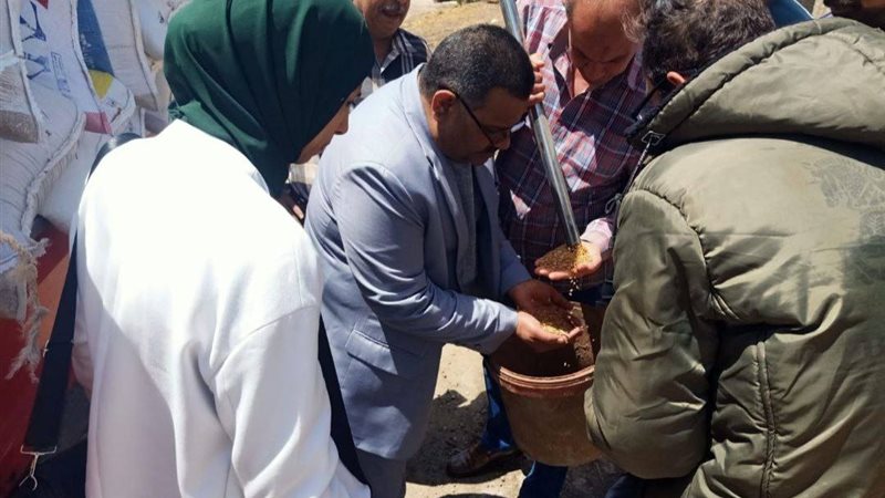 تموين الشرقية , فيتو