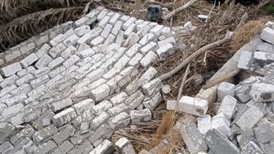 إزالة 52 حالة تعدٍ بالبحيرة