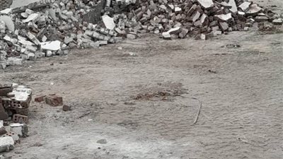 إزالة 68 مقبرة عشوائية خلال حملة لمواجهة التعديات على الأراضي الزراعية بالإسكندرية