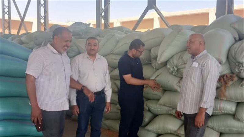 تموين الوادي الجديد،