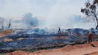 بعد تكرار الحرائق، الحماية المدنية توجه نصائح لمزارعي القمح بالوادي الجديد