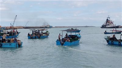 انطلاق موسم صيد الأسماك في بحيرة البردويل بشمال سيناء 