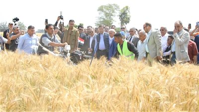 الزراعة: توفير 20 آلة لحصاد القمح لمزارعي الشرقية لتوفير التكاليف