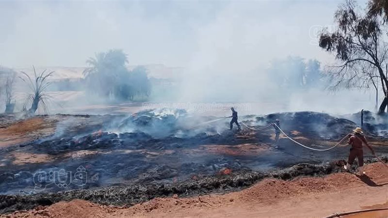 حرائق القمح، ڤيتو