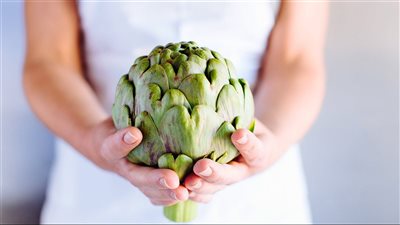 الخرشوف يخفض الكوليسترول ويحافظ على صحة الكبد والمعدة