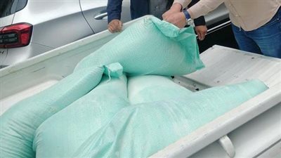 ضبط دقيق بلدي مدعم خلال حملات تموينية في الإسكندرية