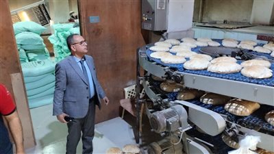 تحرير 231 مخالفة تموينية في حملة مكبرة بالدقهلية