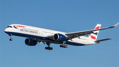 طائر يجبر طائرة بريطانية على الهبوط الاضطراري