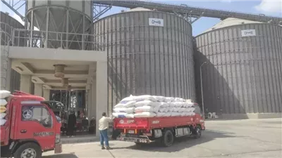 تموين الشرقية: تدفق الأقماح المحلية على شون التخزين 