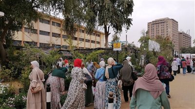 إقبال من المواطنين على معرض زهور الربيع وسيارات 