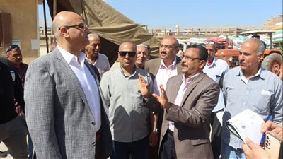 لتجميع وتوريد الغلال، جولة داخل صوامع القمح في القليوبية (فيديو)