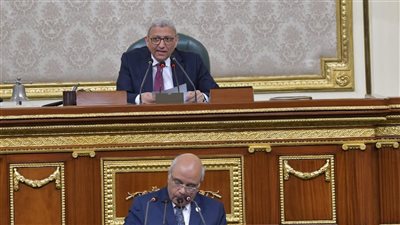 هذه العقارات مستثناة من قاعدة بيانات الرقم القومي